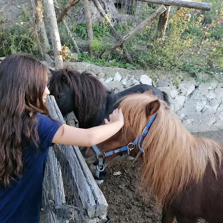 Valle Dei Gelsi مزرعة للإقامة بيسْكيتْشّي