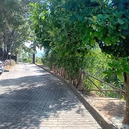 Valle Dei Gelsi *