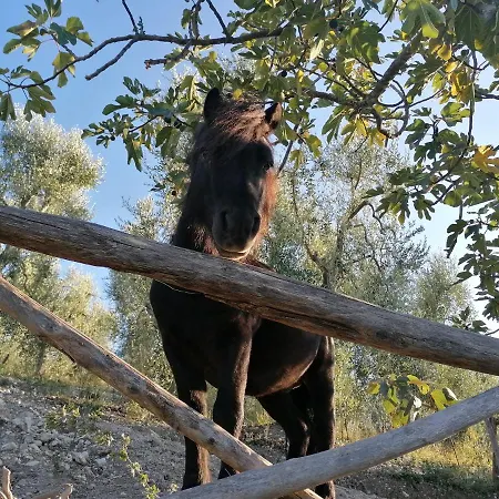 Valle Dei Gelsi